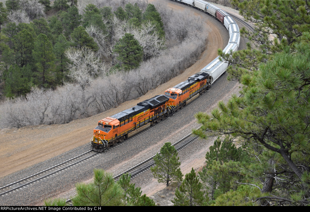 BNSF 3989/7829